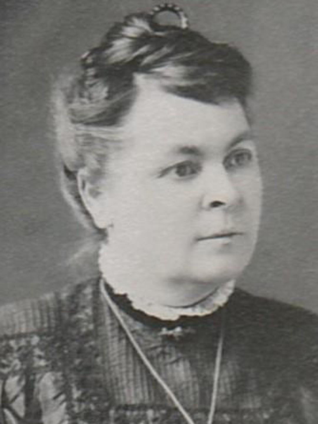 Louisa Faulkner (1861 - 1929) Profile